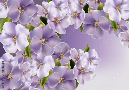 Violet flowers background Vector realistic. Spring floral background 3d illus...
