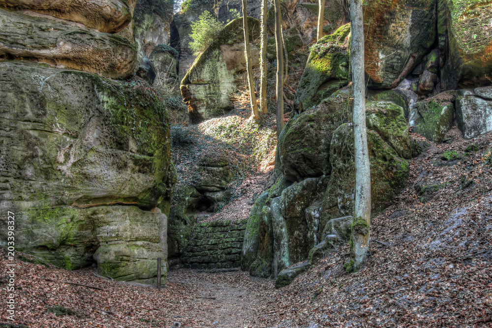 Obraz premium Trail in the Bohemian Paradise