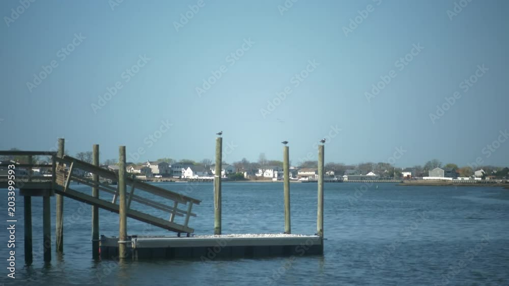 Dock shot Dock shot