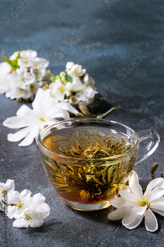 Glass cup of hot green tea with spring flowers white magnolia and cherry blooming branches over dark blue texture background. Copy space.