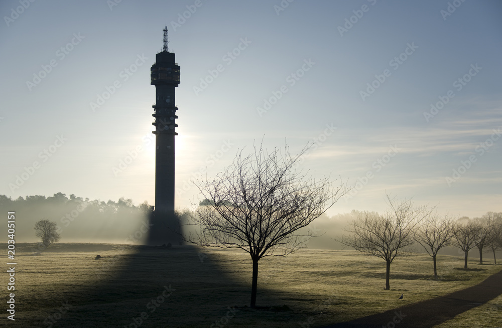 A misty morning at sunrise, as it is, in Stockholm at the meadow infront of the teletower