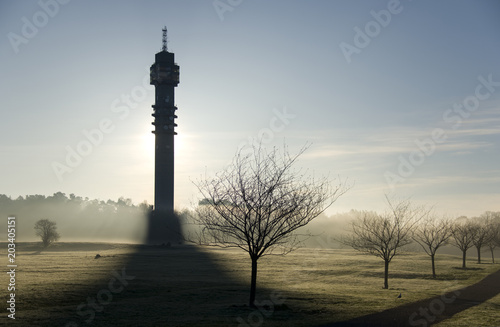 A misty morning at sunrise  as it is  in Stockholm at the meadow infront of the teletower