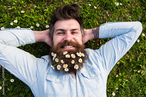 Relaxing concept. Hipster on happy face lays on grass, top view. Man with beard and mustache enjoys spring, green meadow background. Guy looks nicely with daisy or chamomile flowers in beard.