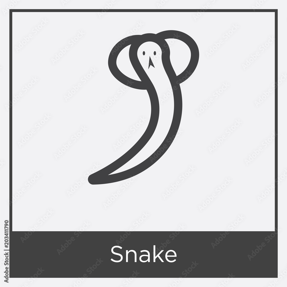 Obraz premium Snake icon isolated on white background