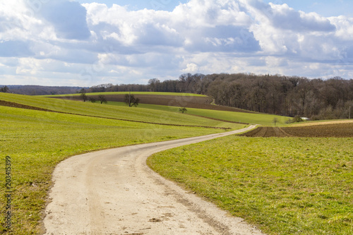 idyllic agricultural scenery at early spring time