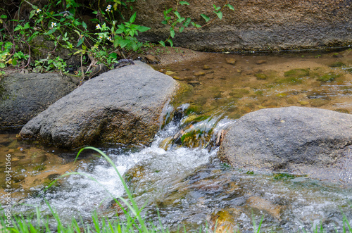 Fotografía The stream with the grass