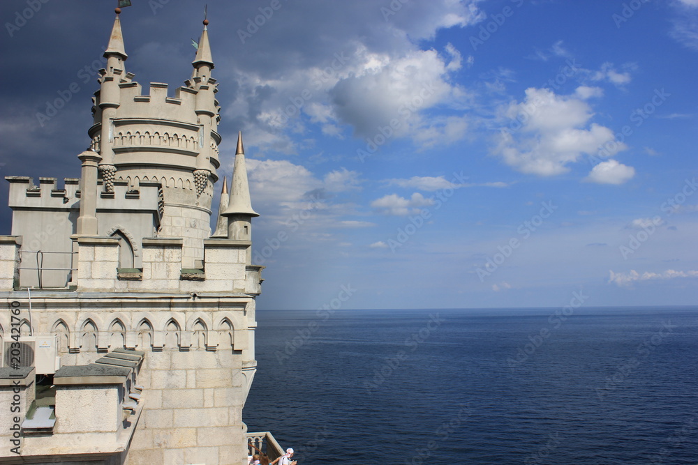 Obraz premium цветы, растения