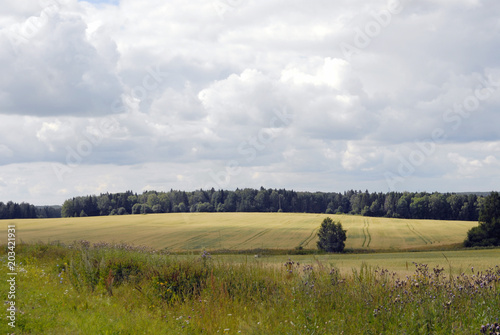 Ground