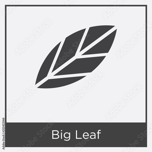 Big Leaf icon isolated on white background