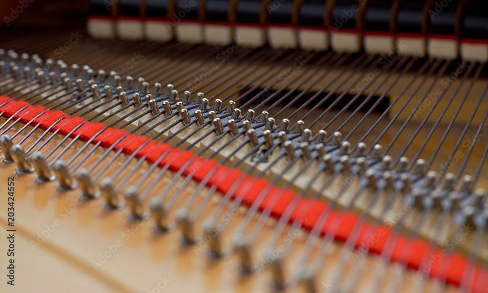 Inside a piano playing, dampers, felt hammers, action, metal strings and metal frame, red and white felt closeup Inside a piano playing, dampers, felt hammers, action, metal strings and metal frame, red and white felt closeup