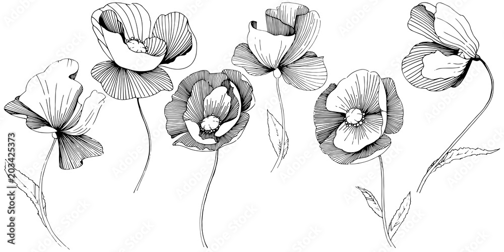 Wildflower poppies flower in a vector style isolated. Full name of the plant: poppies. Vector wildflower for background, texture, wrapper pattern, frame or border.