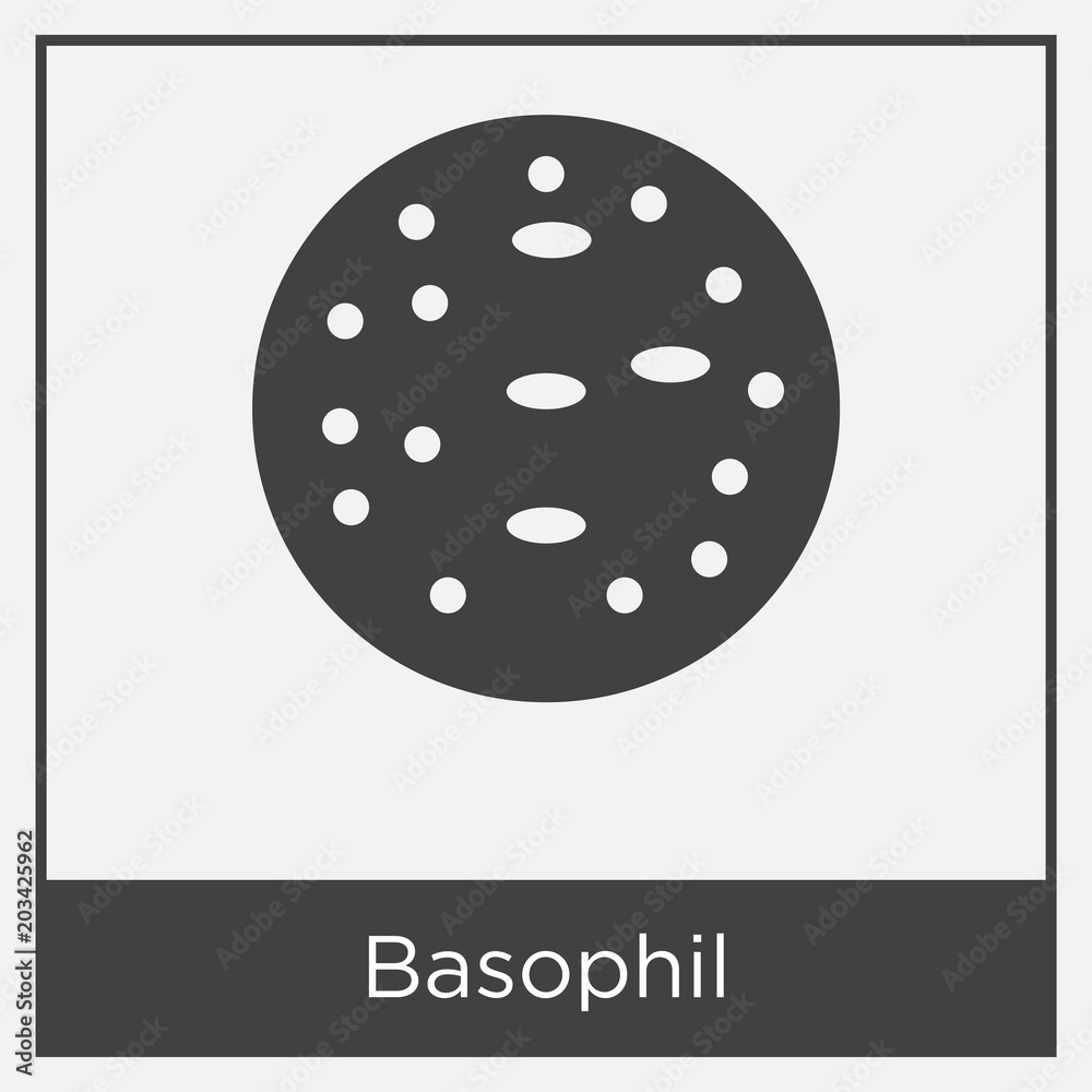 Basophil icon isolated on white background Basophil icon isolated on white background