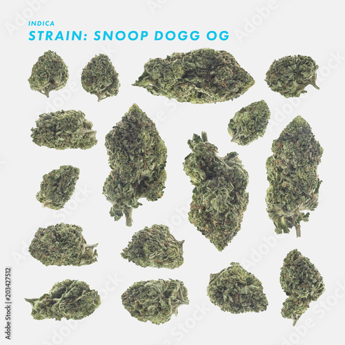 Snoop Dogg OG Strain - Medical Marijuana Cannabis Buds isolated