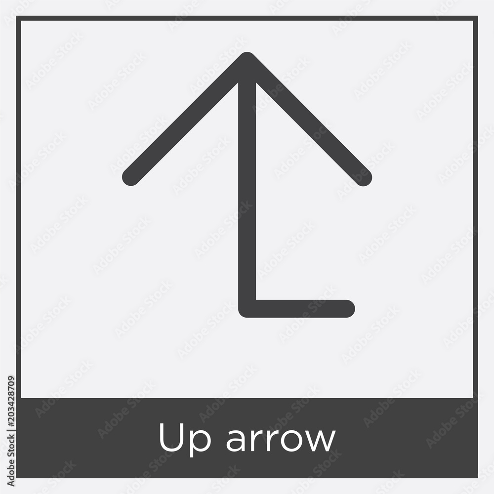 Up arrow icon isolated on white background Up arrow icon isolated on white background