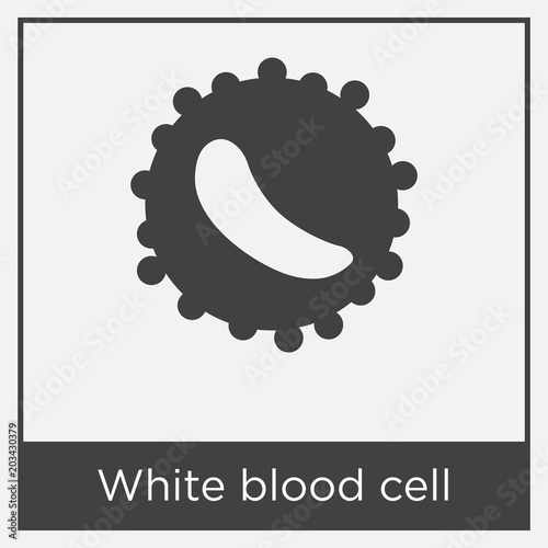 White blood cell icon isolated on white background