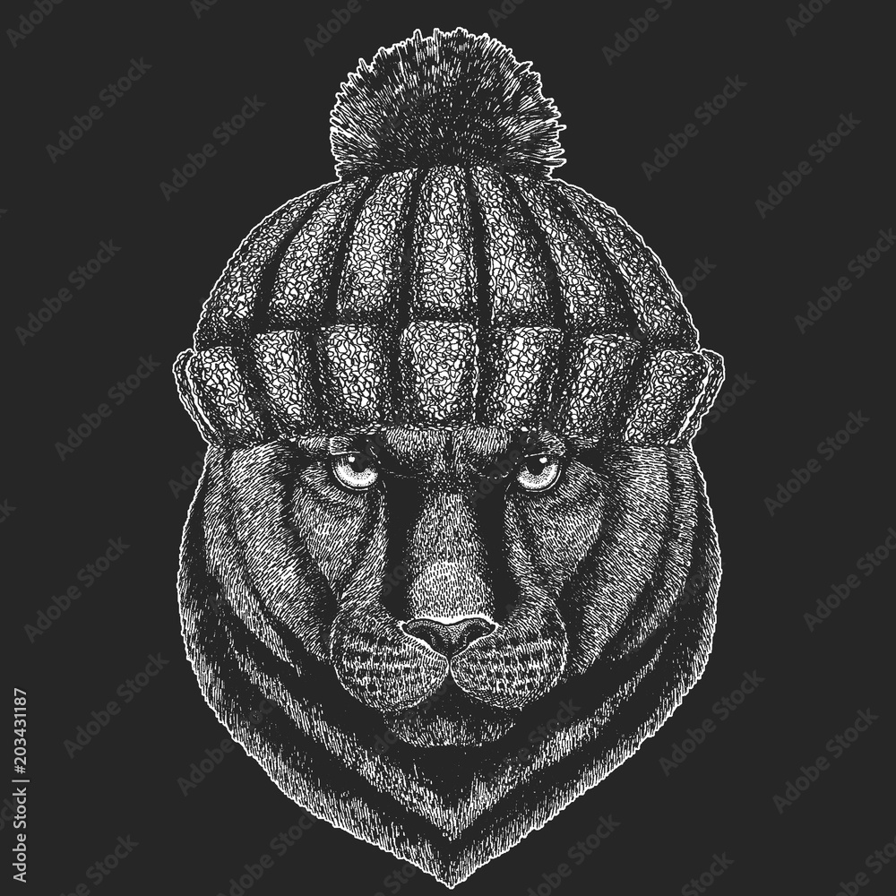 Cute animal wearing knitted winter hat Panther Puma Cougar Wild cat Hand  drawn image for tattoo, emblem, badge, logo, patch, t-shirt Stock Vector |  Adobe Stock