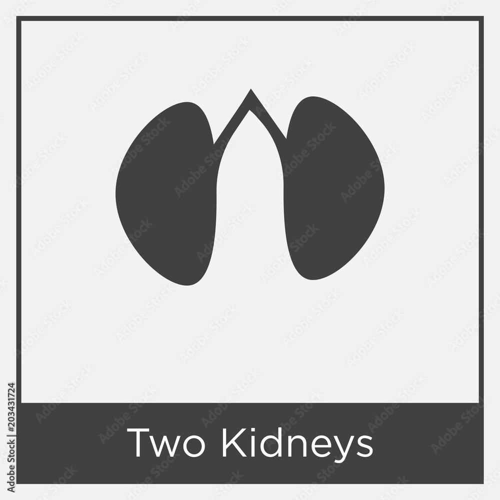 Two Kidneys icon isolated on white background Two Kidneys icon isolated on white background