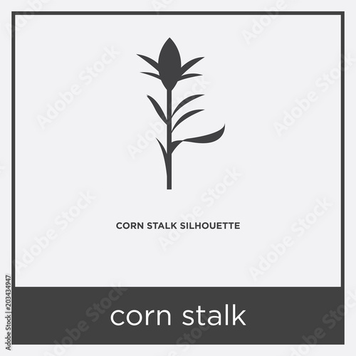 corn stalk icon isolated on white background