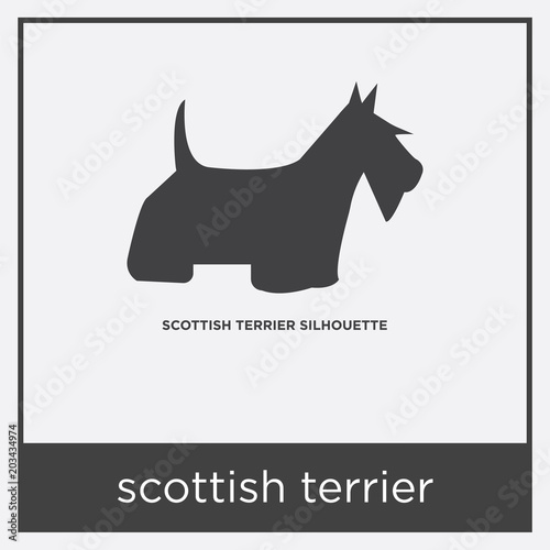 Canvas Print scottish terrier icon isolated on white background