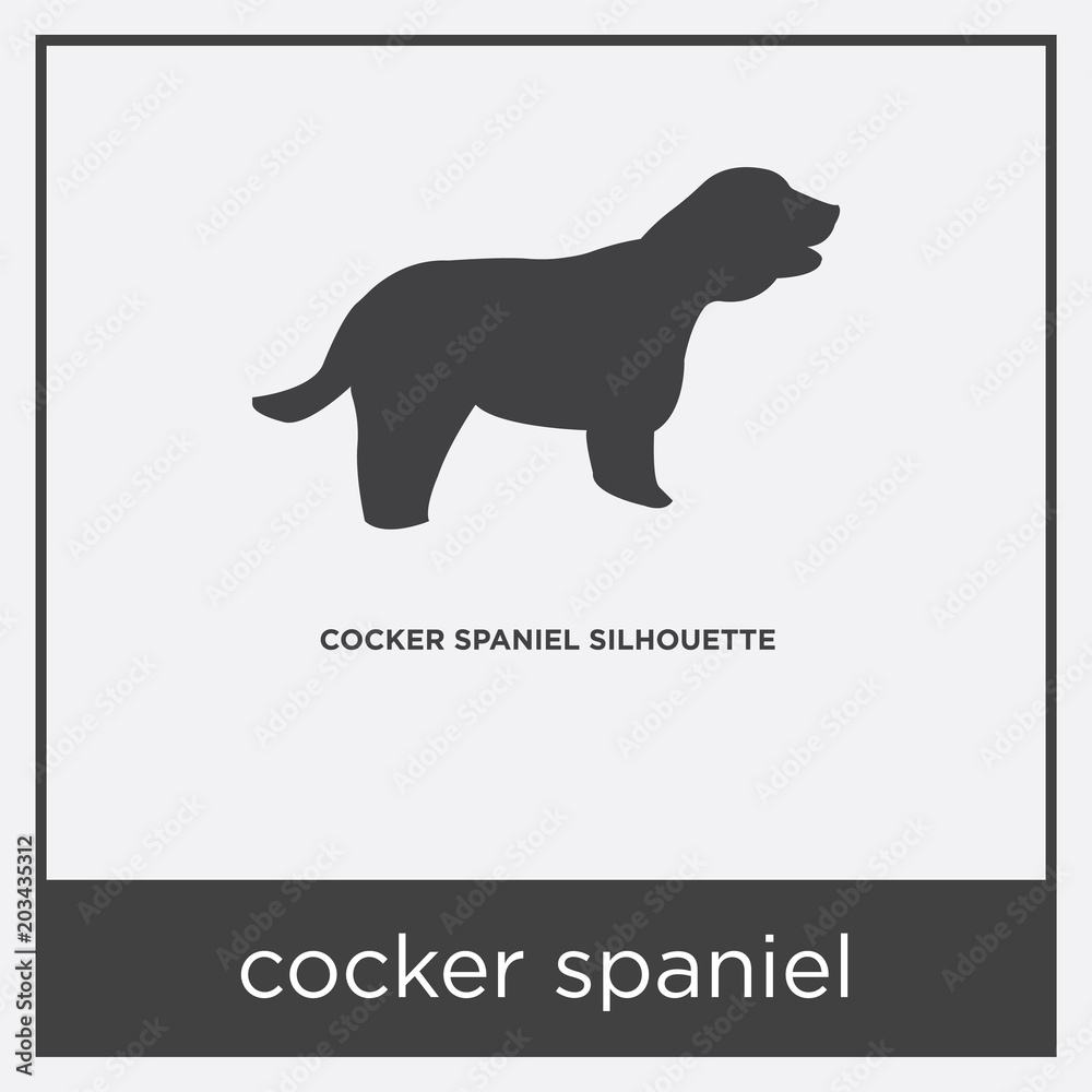 cocker spaniel icon isolated on white background