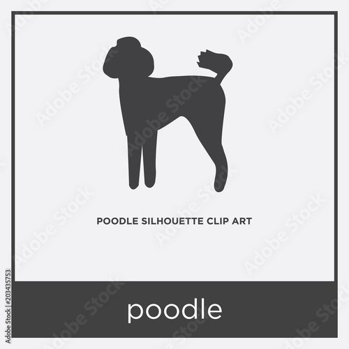 poodle icon isolated on white background