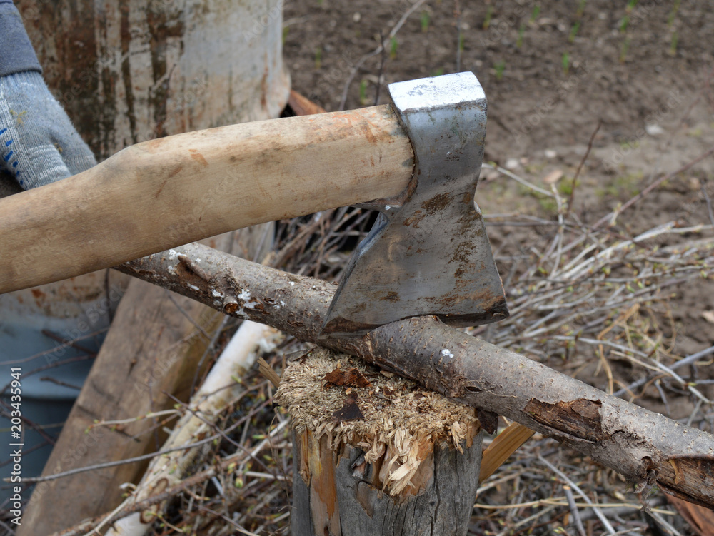 carpenter's carpentry axe chopping wood carpenter's carpentry axe chopping wood