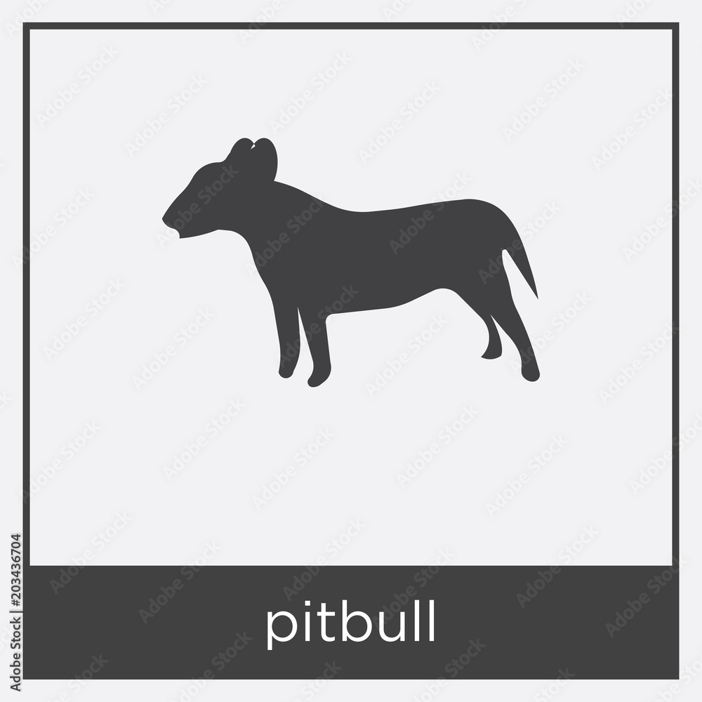 pitbull icon isolated on white background pitbull icon isolated on white background