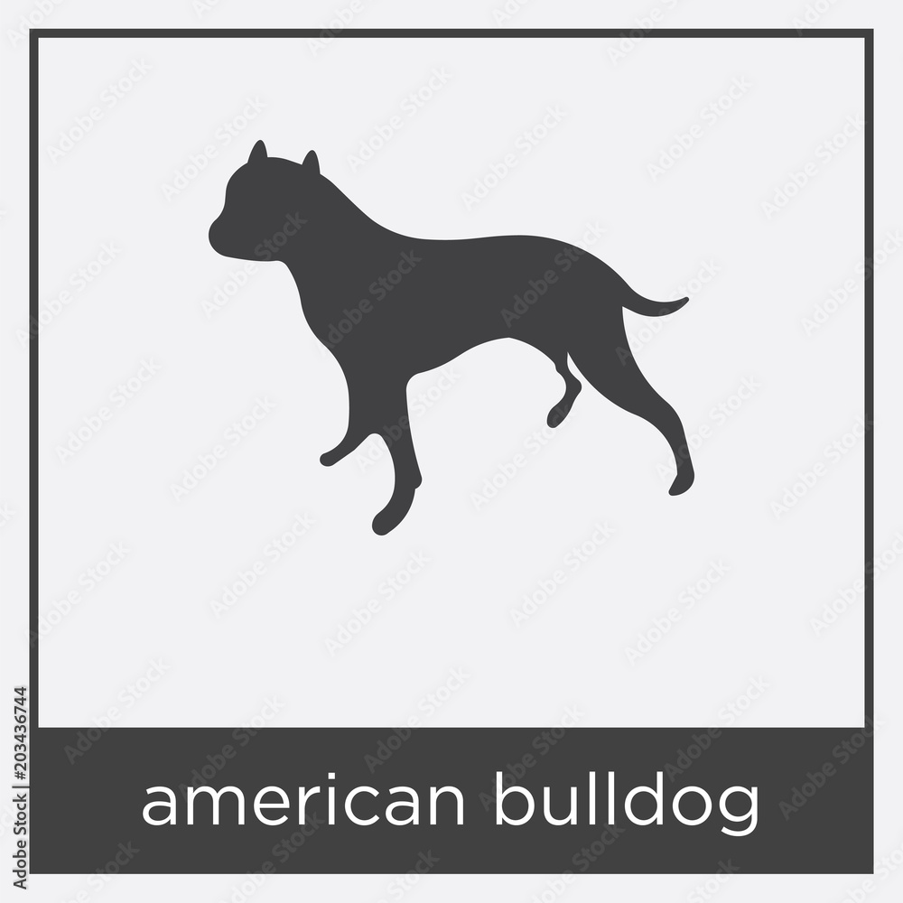 american bulldog icon isolated on white background american bulldog icon isolated on white background