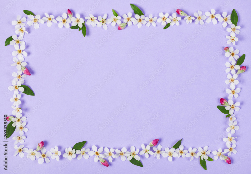 Floral frame made of white spring flowers, green leaves and pink buds on pastel lilac background. Top view. Flat lay. Floral frame made of white spring flowers, green leaves and pink buds on pastel lilac background. Top view. Flat lay.