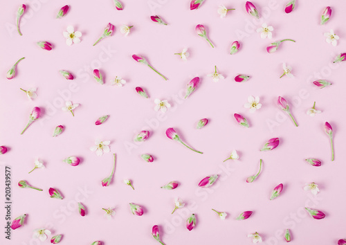 Floral pattern made of spring flowers buds on pastel pink background. Flat lay. Top view.