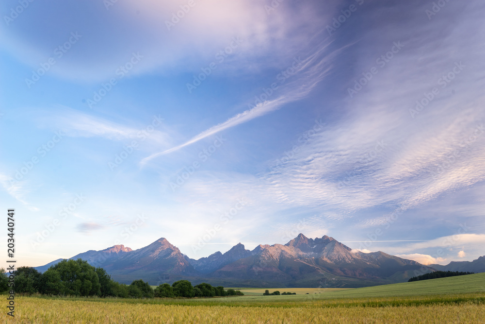 Obraz premium Morning view of High Tatras, Slovakia. Horizontal shot of mountains landscape with grain fields in a front. Beautiful morning light.
