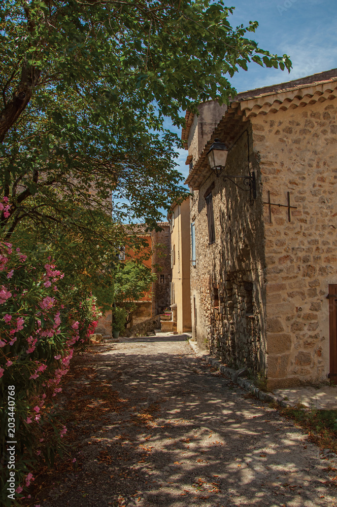 Alley view with house and flowers in Chateaudouble, a quiet and tourist village with medieval origin on a sunny summer day. Located in the Var department, Provence region, southeastern France