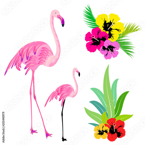 beautiful tropical palm leaves and flamingo,on a white