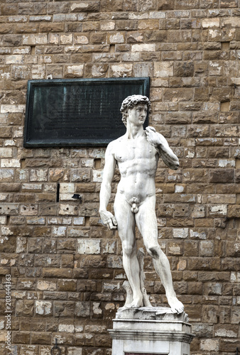 Статуя Давида во Флоренции photo
