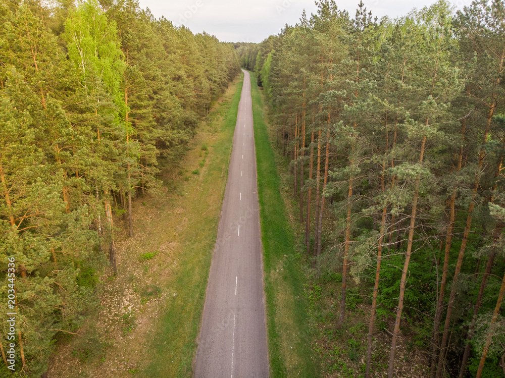 Pine forest from above, summer season, forest road Pine forest from above, summer season, forest road