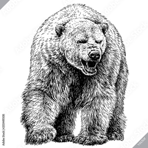 black and white engrave isolated bear vector illustration