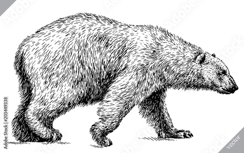 black and white engrave isolated bear vector illustration