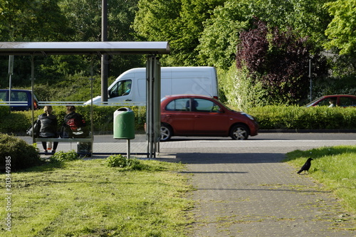 Wallpaper Mural Bus Haltestelle mit zwei Wartenden und einem Raben an der viel befahrenen Straße Torontodigital.ca