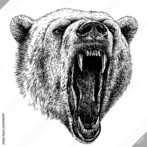 black and white engrave isolated bear vector illustration
