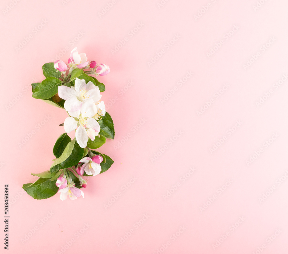 Obraz premium Sprinf Flower Background