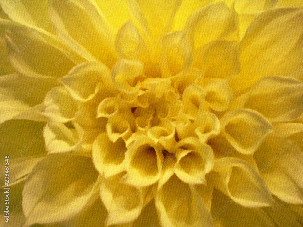 Dahlia Dahlia