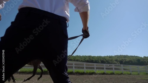 training of the horse running in a small circle photo