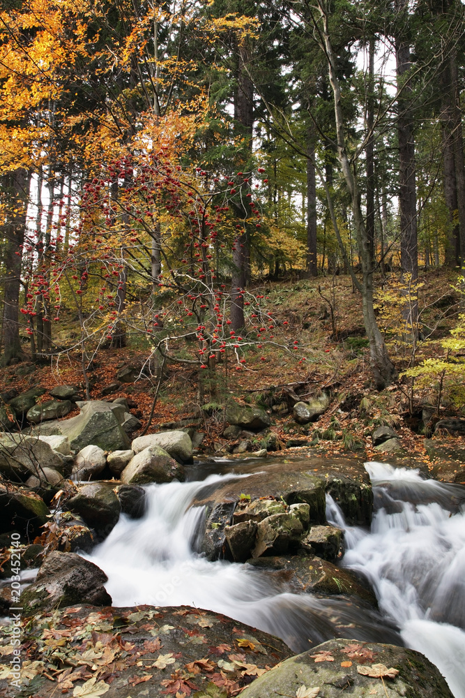 Stream at Karkonosze mountains near Karpacz. Poland