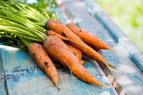 carrots on a vintage wooden background