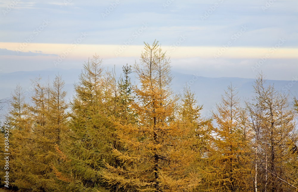 Karkonosze mountains near Karpacz. Poland