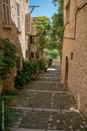 Fototapeta Naklejka Na Ścianę i Meble -  View of alley with stone houses and slope in Saint-Paul-de-Vence, a lovely well preserved medieval hamlet near Nice. Located in Alpes-Maritimes department, Provence region, southeastern France