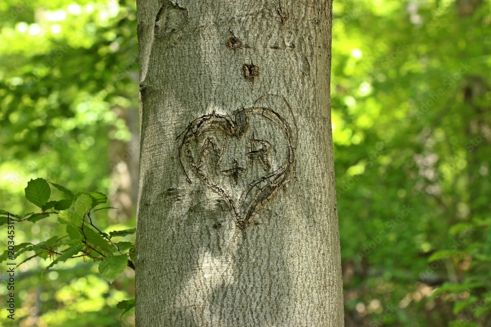 Obraz premium N liebt R