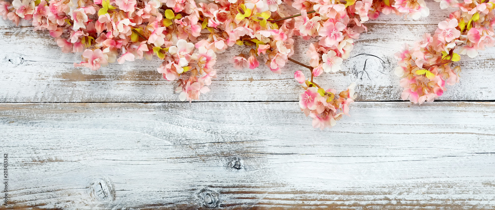 Naklejka premium Kwitnący czereśniowy okwitnięcie kwitnie na białym rocznika drewnie w zasięrzutnym widoku dla wiosny pojęcia