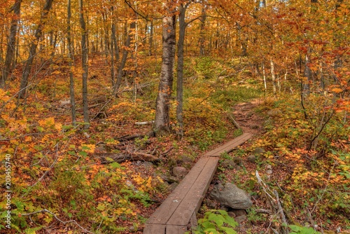 Oberg Mountain is part of the Sawtooth Range on the North Shore in Minnesota photo