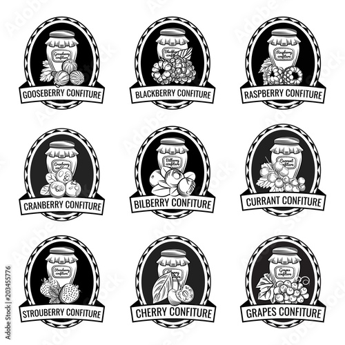Berry labels set isolated vector illustration 